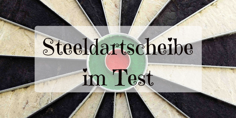 Steeldartscheibe im Test