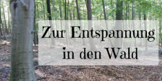 Zur-Entspannung-in-den-Wald.png